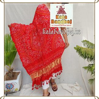 Chikoo Red Bandhani Dupatta Designer Pure Gaji Silk Ambadal Bandhani