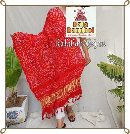 Red Bandhani Dupatta Designer Pure Gaji Silk Ras Mandal Bandhani